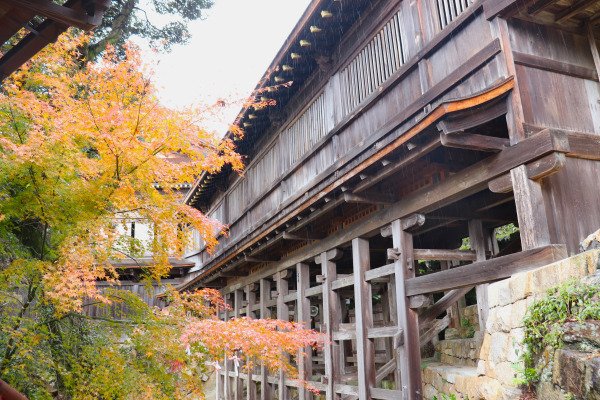 ⛩️ 지쿠부 섬 호곤지 (지쿠부시마 호곤지) 이미지 4